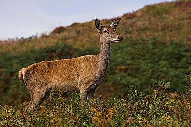 开发者介绍《无畏契约》新地图：灵感源自《夺宝奇兵》